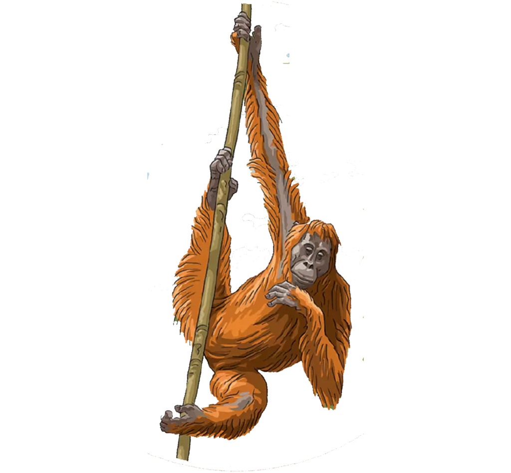 monkey2-1024x948